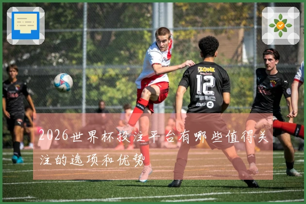 2026世界杯投注平台有哪些值得关注的选项和优势