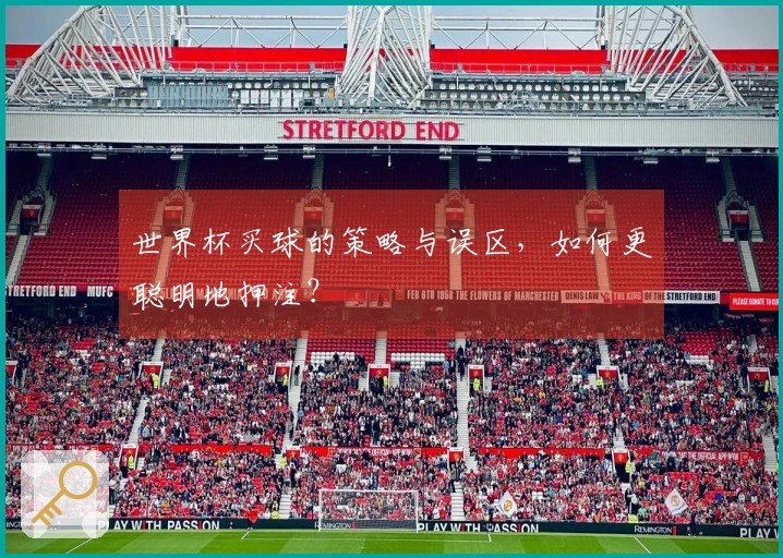 世界杯买球的策略与误区，如何更聪明地押注？