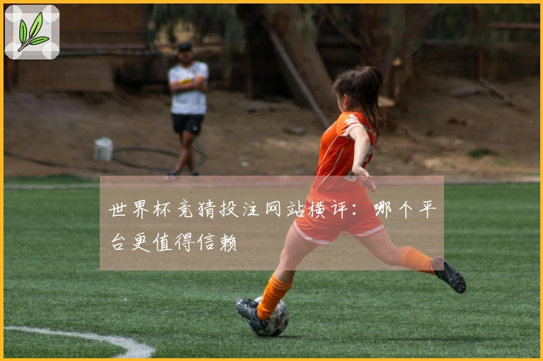 世界杯竞猜投注网站横评：哪个平台更值得信赖
