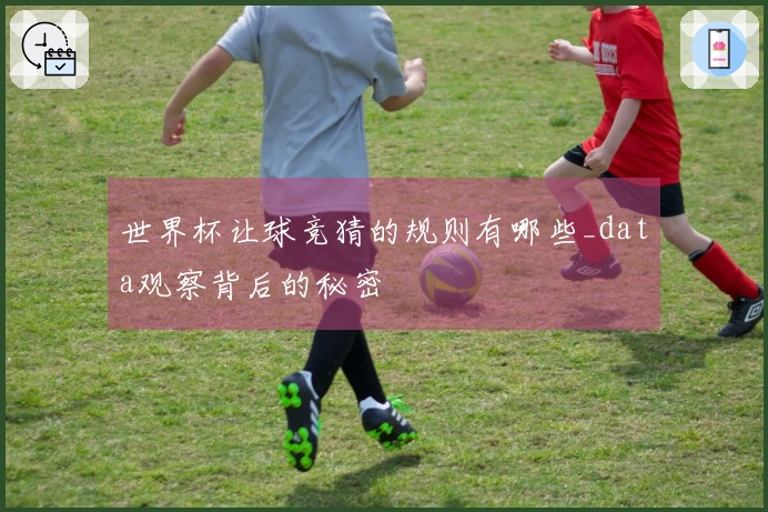 世界杯让球竞猜的规则有哪些_data观察背后的秘密