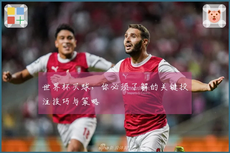 世界杯买球，你必须了解的关键投注技巧与策略