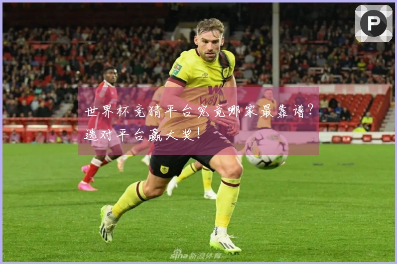 世界杯竞猜平台究竟哪家最靠谱？选对平台赢大奖！