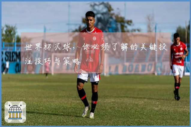 世界杯买球，你必须了解的关键投注技巧与策略