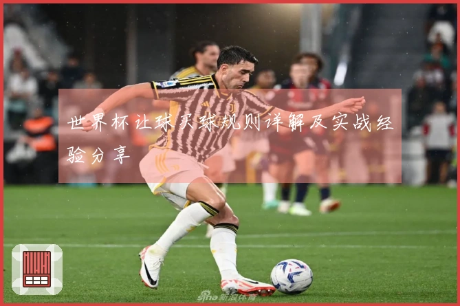 世界杯让球买球规则详解及实战经验分享