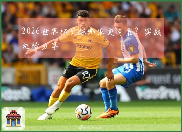 2026世界杯买球哪家更可靠？实战经验分享