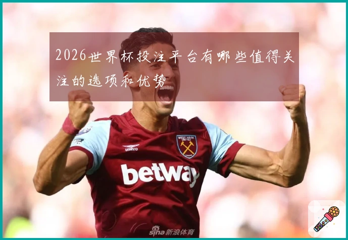 2026世界杯投注平台有哪些值得关注的选项和优势
