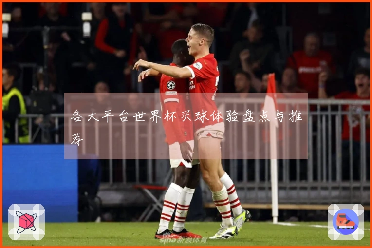 各大平台世界杯买球体验盘点与推荐