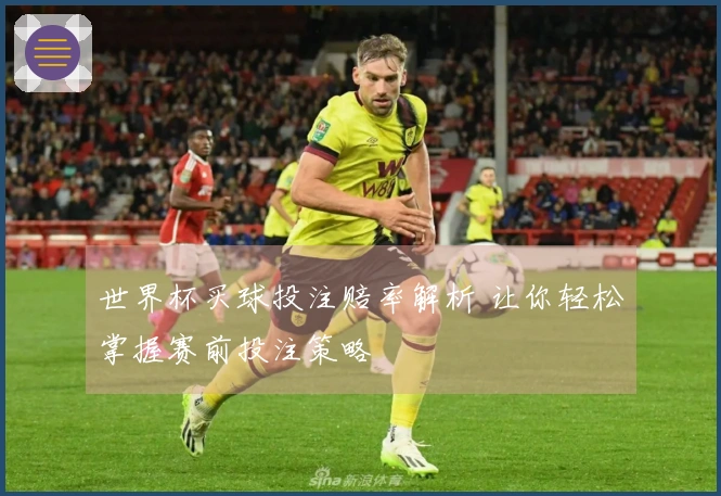世界杯买球投注赔率解析 让你轻松掌握赛前投注策略
