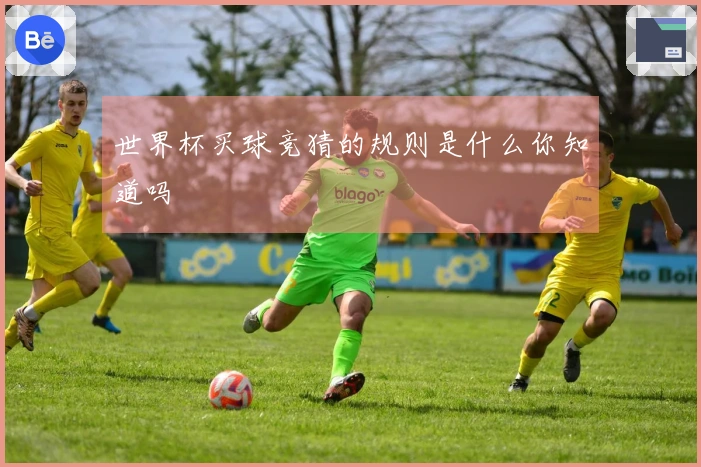 世界杯买球竞猜的规则是什么你知道吗