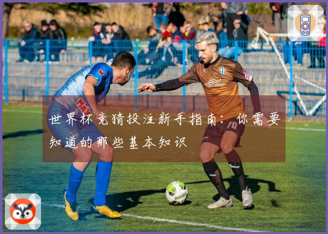 世界杯竞猜投注新手指南：你需要知道的那些基本知识