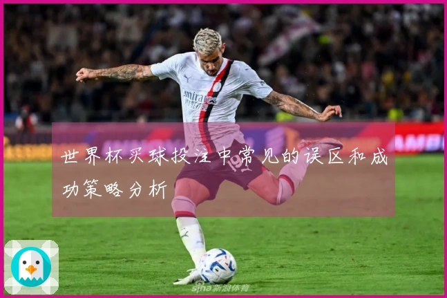 世界杯买球投注中常见的误区和成功策略分析
