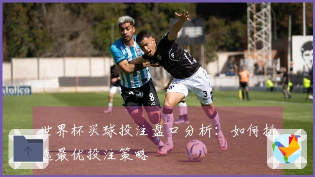 世界杯买球投注盘口分析：如何挑选最优投注策略