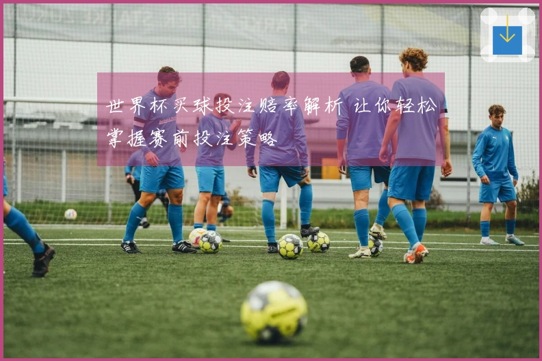 世界杯买球投注赔率解析 让你轻松掌握赛前投注策略